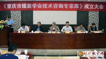 重慶煤炭學(xué)會(huì)聘請(qǐng)80名技術(shù)咨詢專(zhuān)家，為行業(yè)高質(zhì)量發(fā)展注入新動(dòng)能
